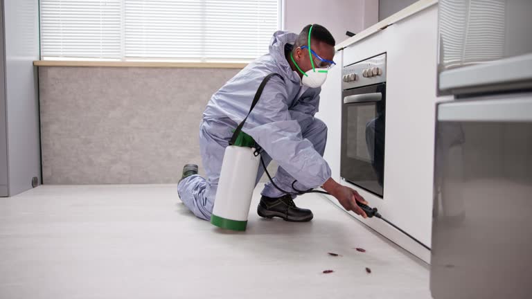 Best Real Estate Pest Inspections  in Chicago Ridge, IL